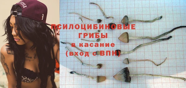 гидропоника Нефтекумск