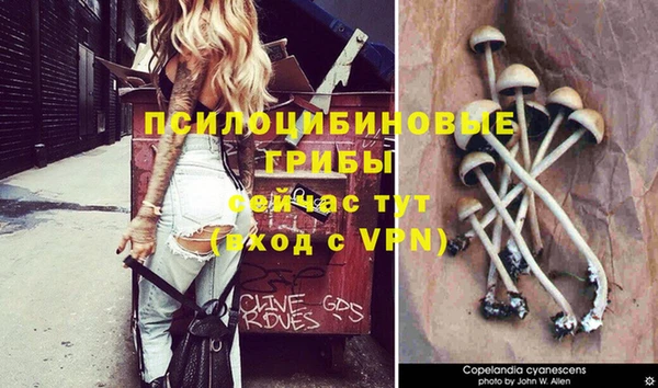 тгк Нефтегорск