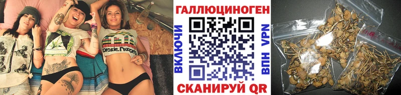 Купить закладки  Невельск  Псилоцибиновые грибы Psilocybe 